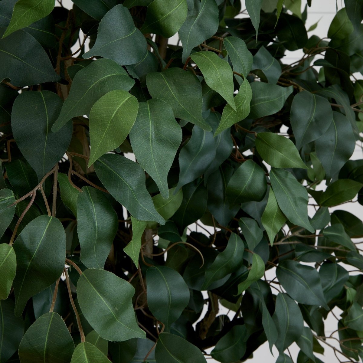  10-ft Faux Ficus Tree | Lifelike Indoor Tree – Ed's Plant Shop