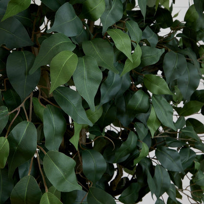  10-ft Faux Ficus Tree | Lifelike Indoor Tree – Ed's Plant Shop