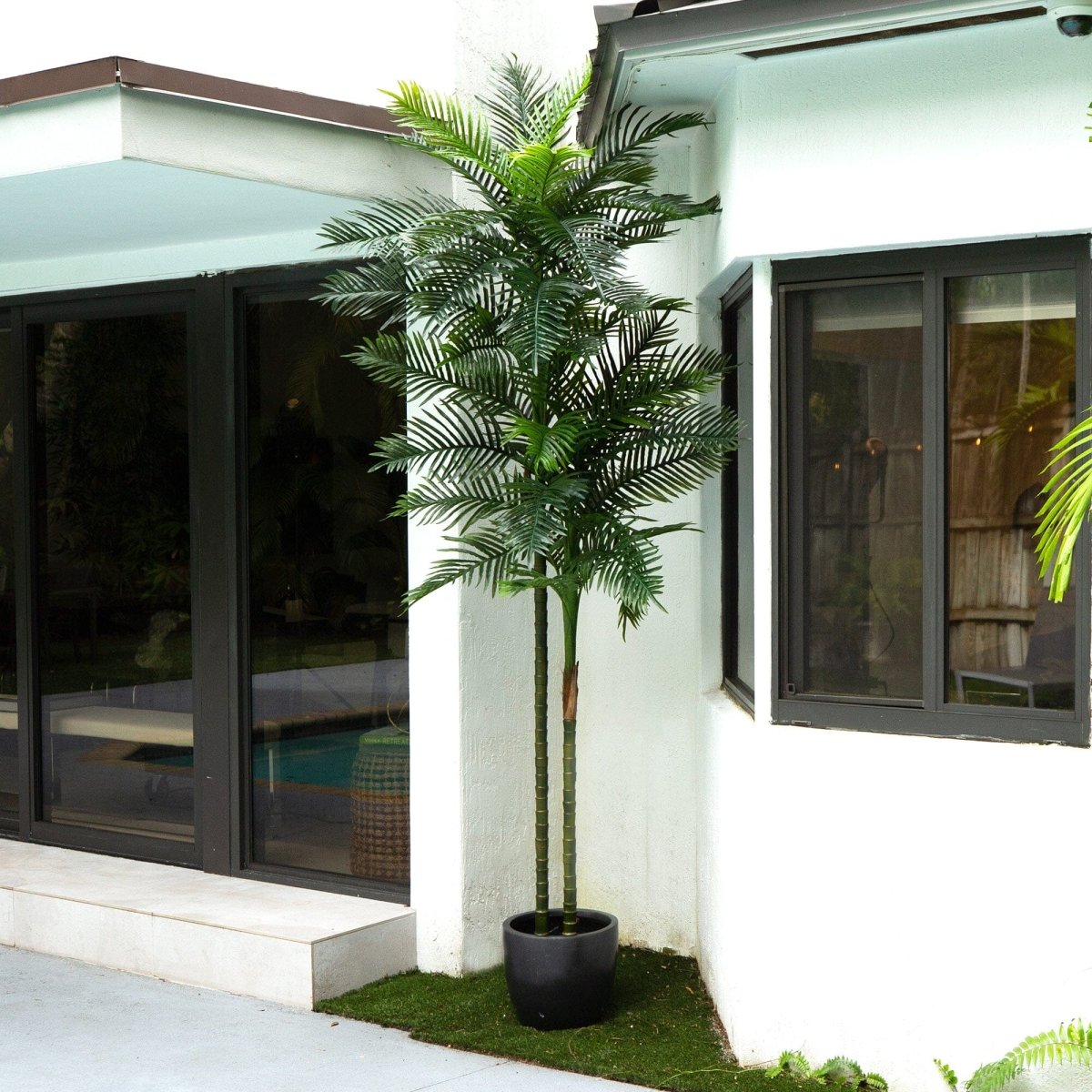  10-ft UV Resistant Artificial Double Robellini Palm Tree (Indoor/Outdoor)