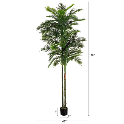  10-ft UV Resistant Artificial Double Robellini Palm Tree (Indoor/Outdoor)