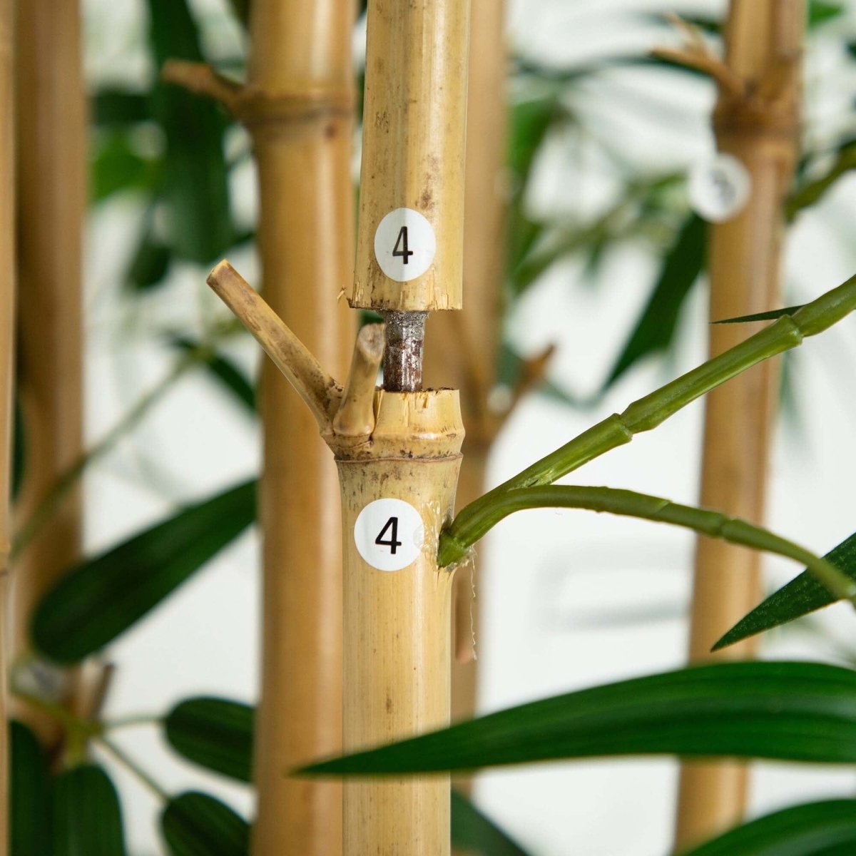  11-ft Artificial Bamboo Tree With Real Bamboo Trunks