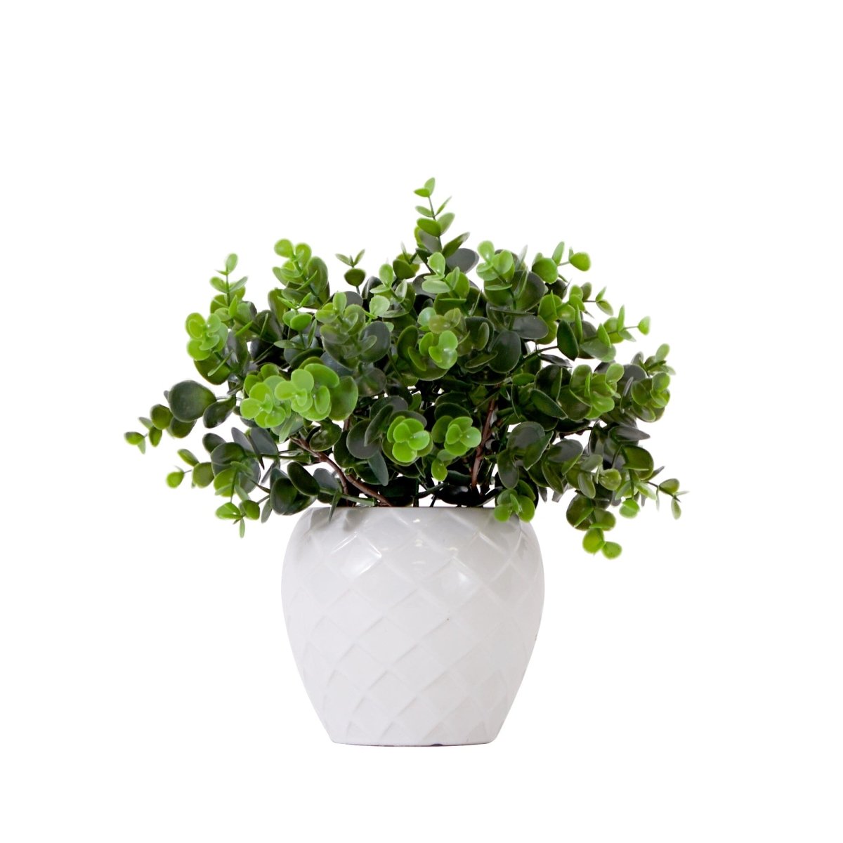  11-in Artificial Boxwood Plant | Decorative Planter Accent