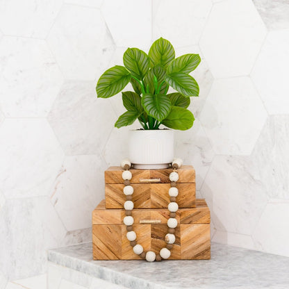  12-in Artificial Calathea Plant With Decorative Planter