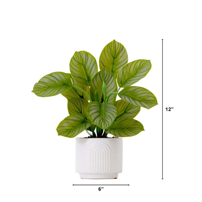  12-in Artificial Calathea Plant With Decorative Planter