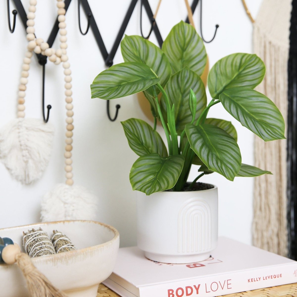  12-in Artificial Calathea Plant With Decorative Planter
