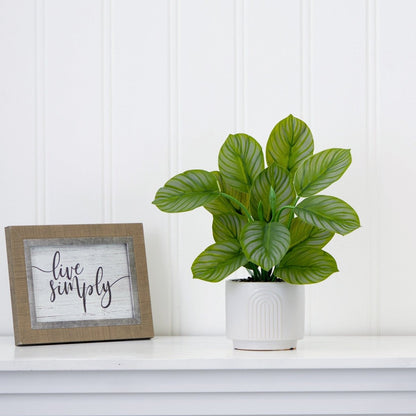  12-in Artificial Calathea Plant With Decorative Planter