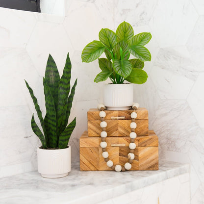 12-in Artificial Calathea Plant With Decorative Planter