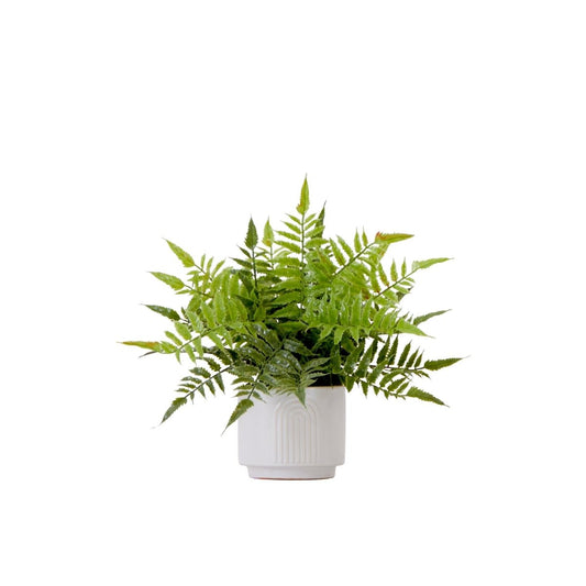  13-in Artificial Boston Fern Plant With Decorative Planter