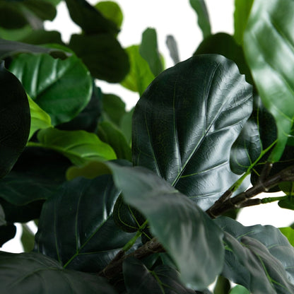  13-ft Faux Fiddle Leaf Fig Tree | Lifelike Indoor Tree