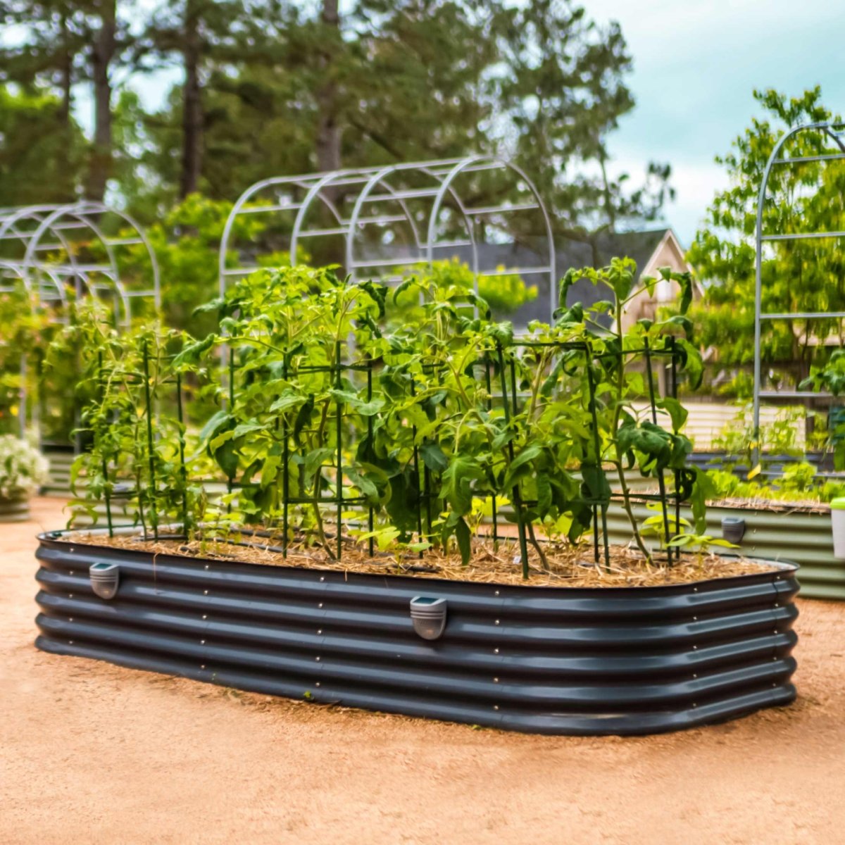  17" Tall 10 In 1 Jumbo Modular Metal Raised Garden Bed Kit