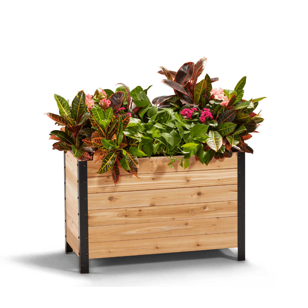  18" X 36" Cedar Planter Box – 24" Tall Raised Garden Bed