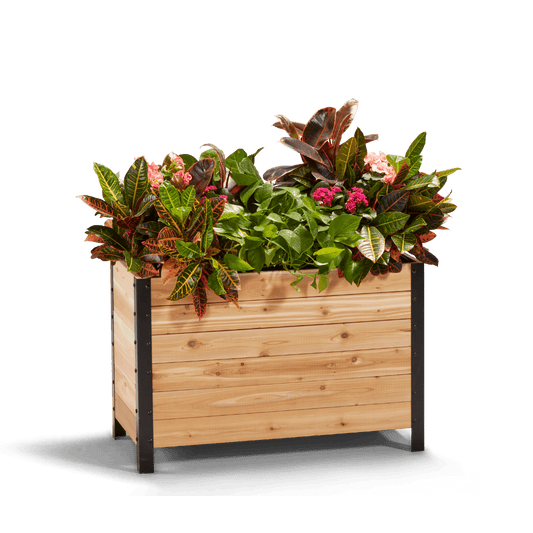  18" X 36" Cedar Planter Box – 24" Tall Raised Garden Bed