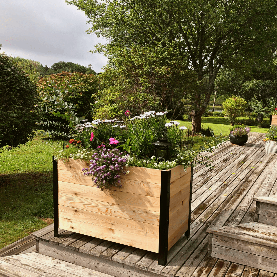  18" X 36" Cedar Planter Box – 24" Tall Raised Garden Bed