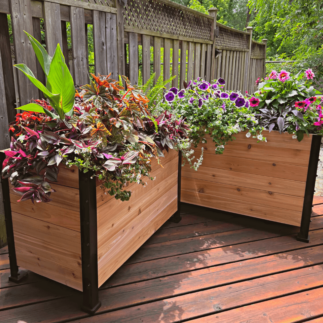  18" X 36" Cedar Planter Box – 24" Tall Raised Garden Bed