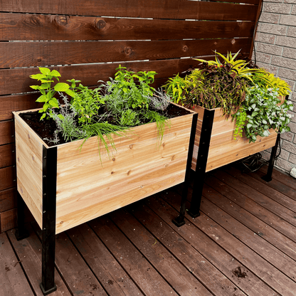  18" X 36" Cedar Raised Garden Bed – 30" Tall | Deep Planting Box