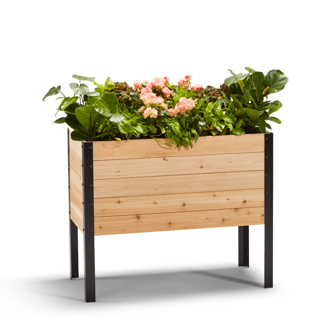  18" X 36" Cedar Raised Garden Bed – 30" Tall | Deep Planting Box