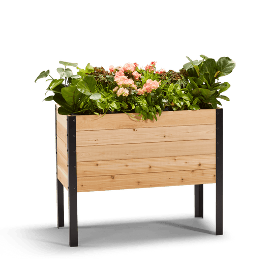  18" X 36" Cedar Raised Garden Bed – 30" Tall | Deep Planting Box