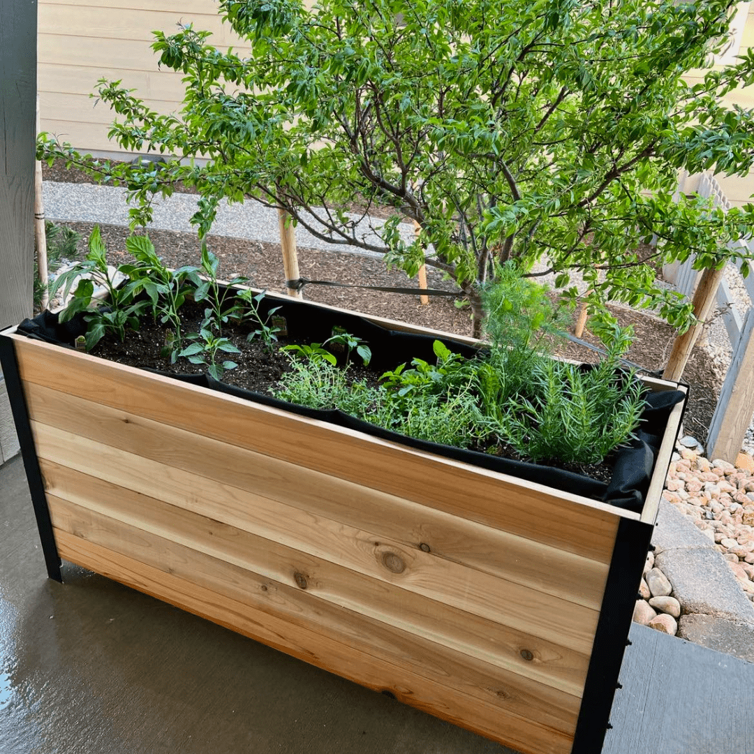  18" X 48" Cedar Planter Box – 24" Tall | Food-Safe Elevated Garden Bed