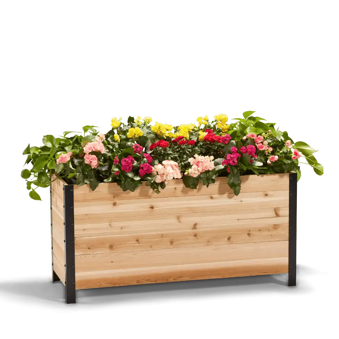  18" X 48" Cedar Planter Box – 24" Tall | Food-Safe Elevated Garden Bed