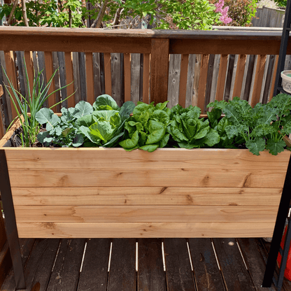  18" X 48" Cedar Raised Garden Bed – 30" Tall | Deep Elevated Planter Box