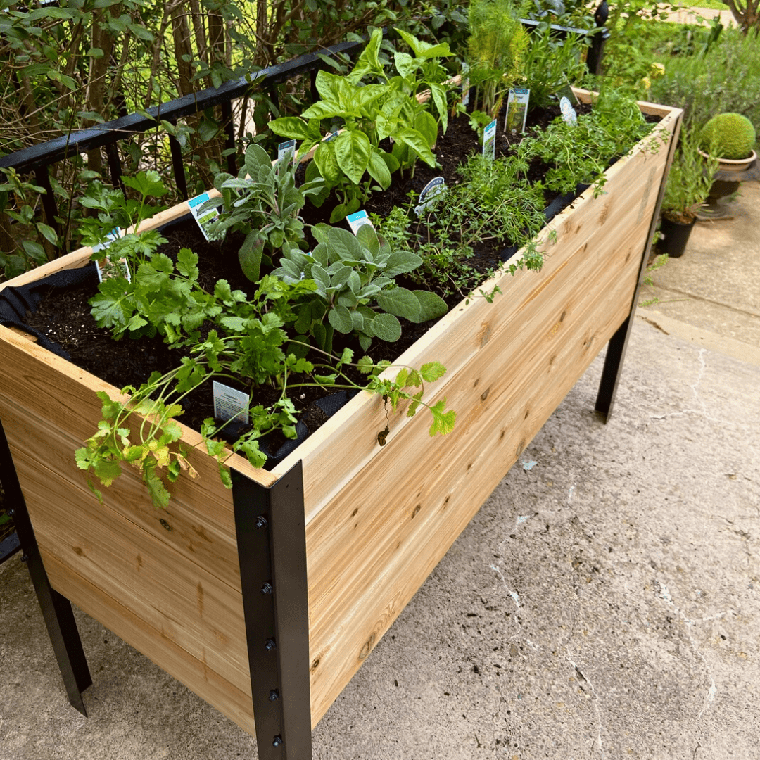  18" X 48" Cedar Raised Garden Bed – 30" Tall | Deep Elevated Planter Box
