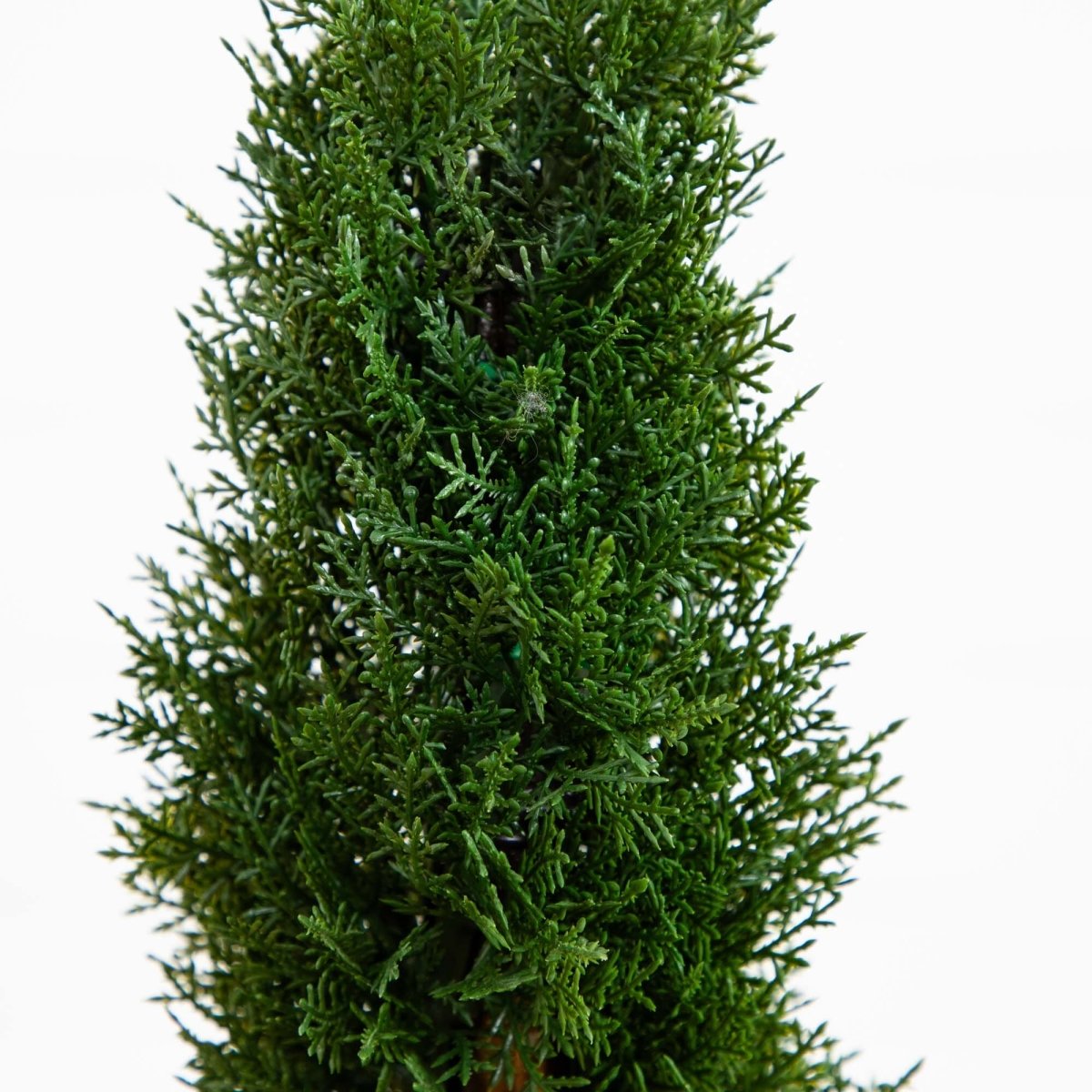  2-Ft Maintenance Free Spiral Cedar Topiary