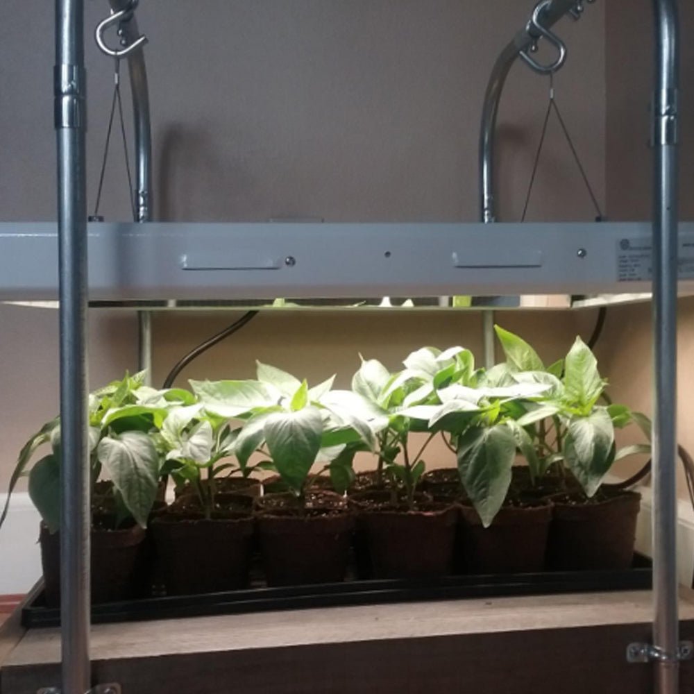  2' Plug & Play Grow Lamp – T5 HO Sun White Spectrum