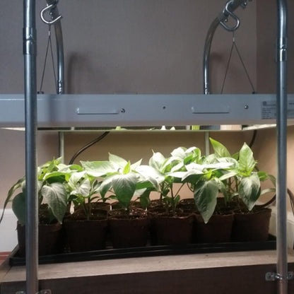  2' Plug & Play Grow Lamp – T5 HO Sun White Spectrum