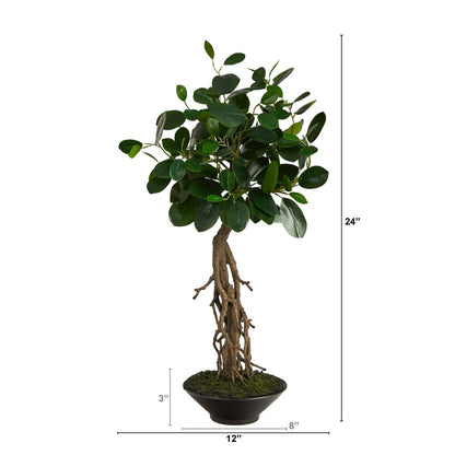  2-ft Realistic Artificial Ficus Tree – Bonsai Style In Decorative Planter