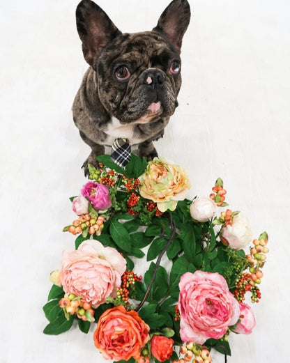  20-in Mixed Peony & Berry Wreath | Vibrant, Colorful Décor