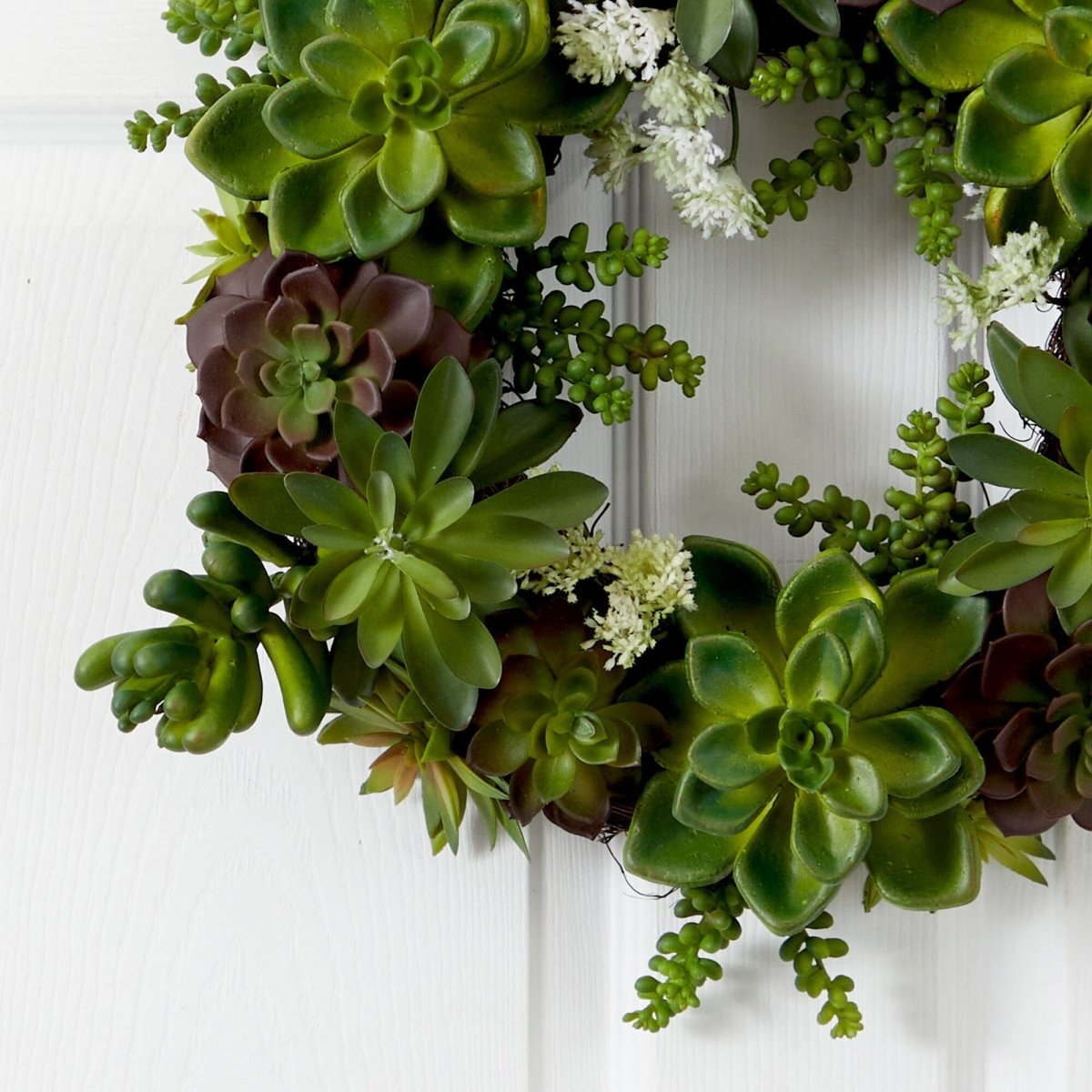  20-in Succulent Wreath | Timeless Elegance With Magnolia Blooms