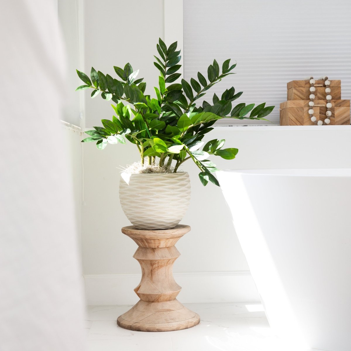  28-in Artificial ZZ Plant | Faux Zamioculcas For Effortless Indoor Greenery