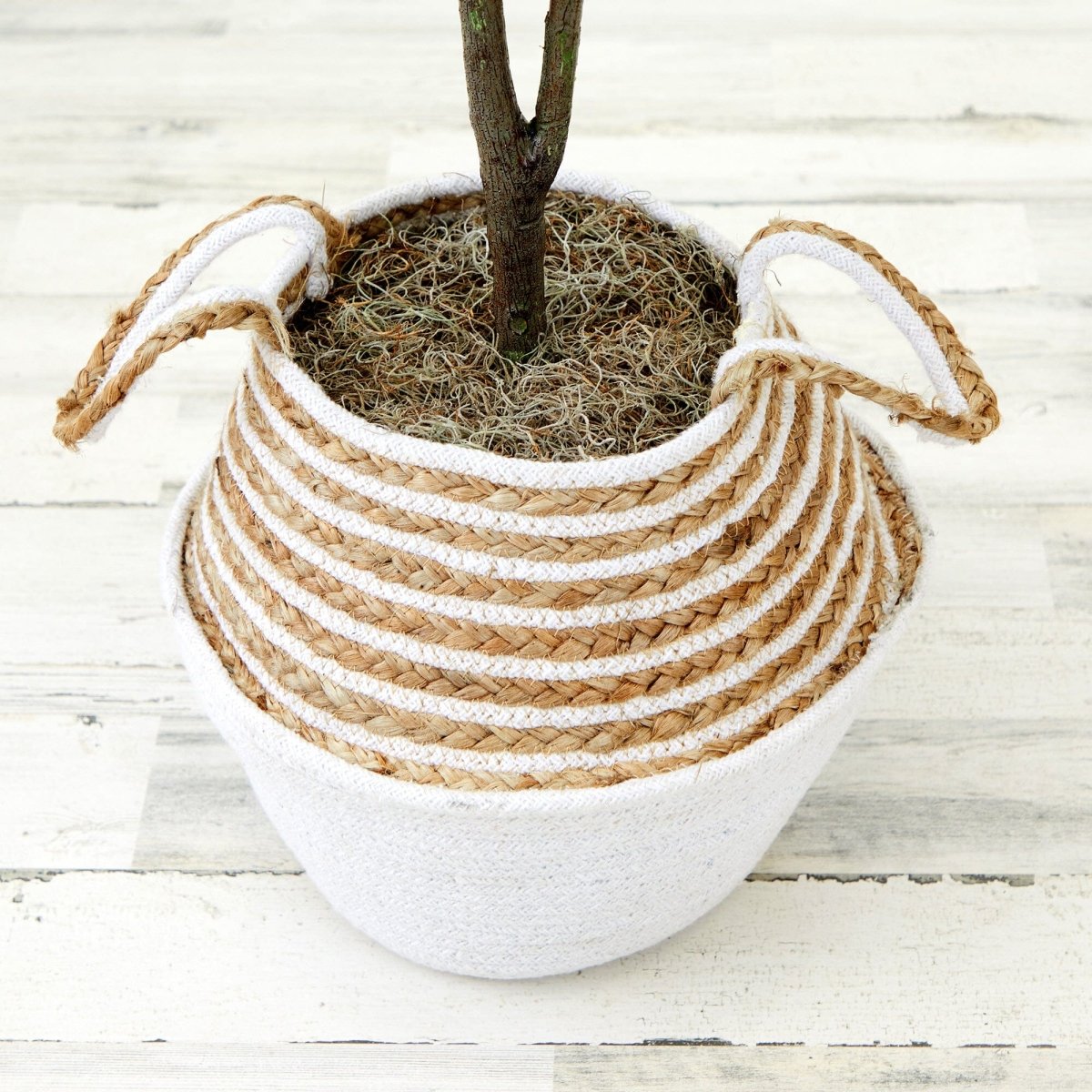  3-ft Artificial Fiddle Leaf Fig Tree With Handmade Cotton & Jute Woven Basket