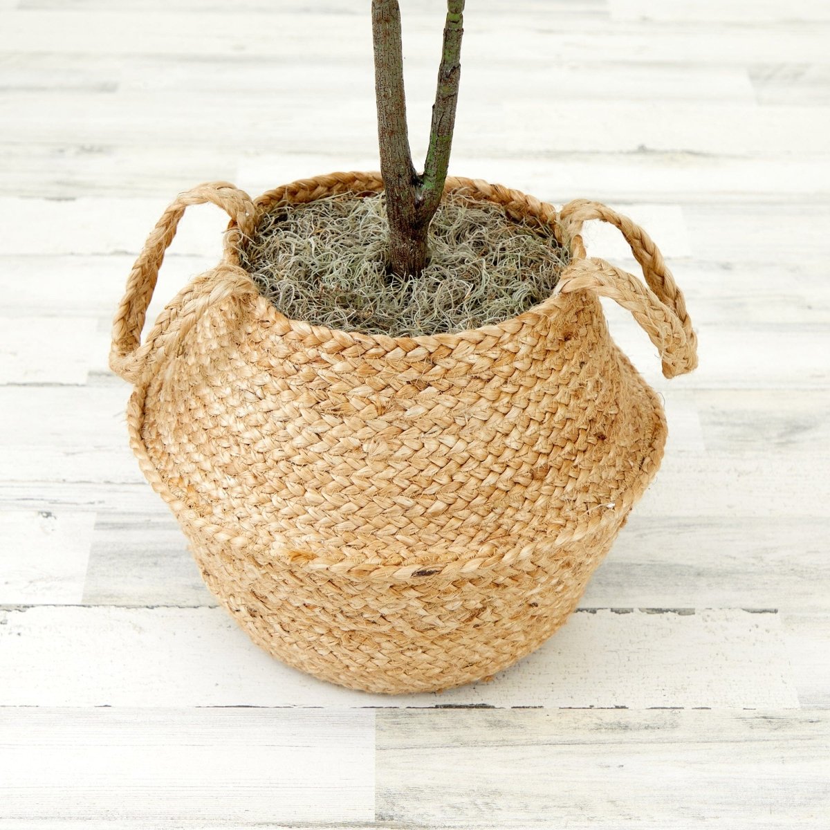  3-ft Artificial Fiddle Leaf Fig Tree With Handmade Cotton & Jute Woven Basket
