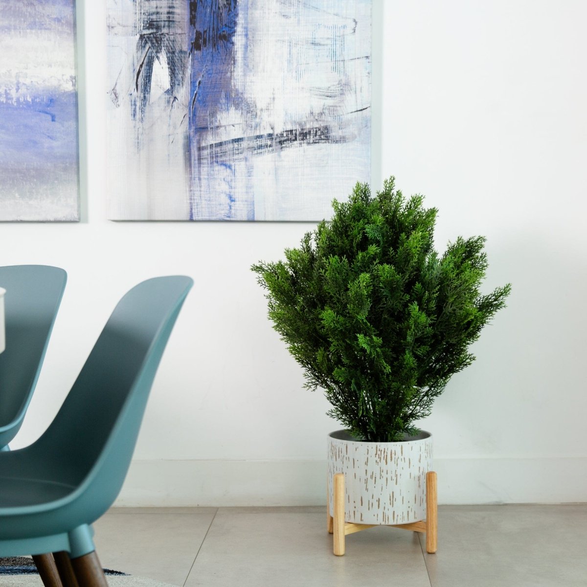  3-ft Cedar Bush (Indoor/Outdoor)