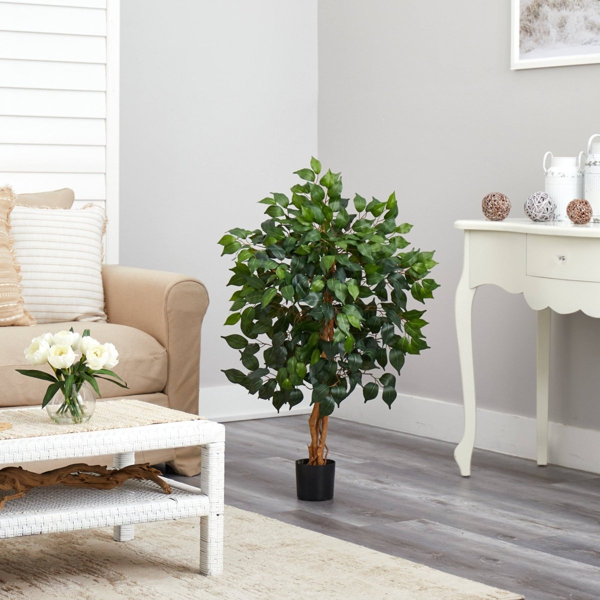  3-ft Ficus Silk Tree