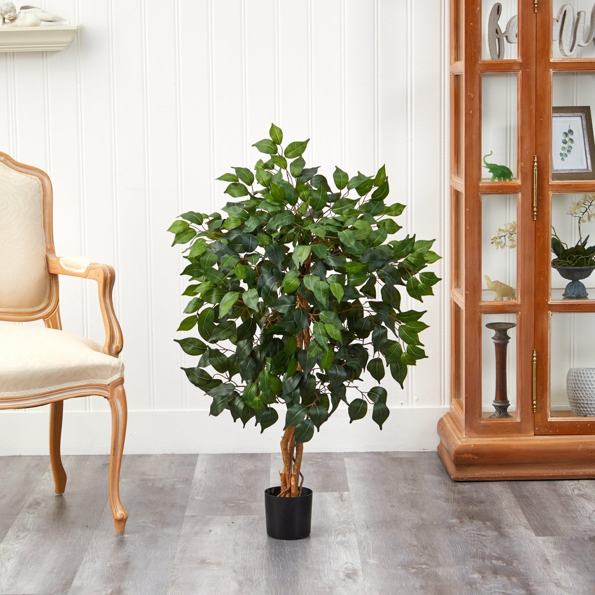  3-ft Ficus Silk Tree