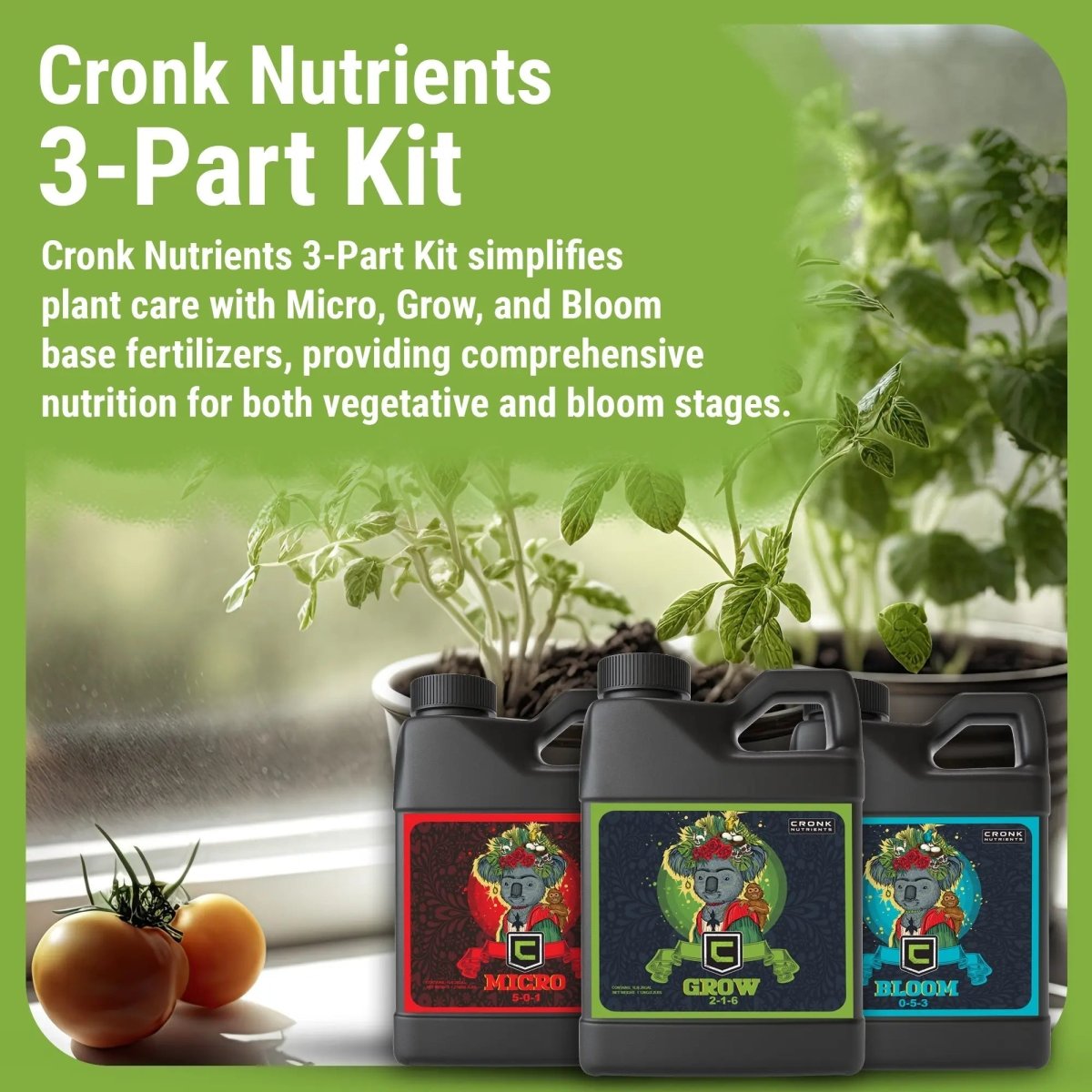  3-Part Base Kit | Micro, Grow, Bloom