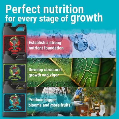  3-Part Base Kit | Micro, Grow, Bloom