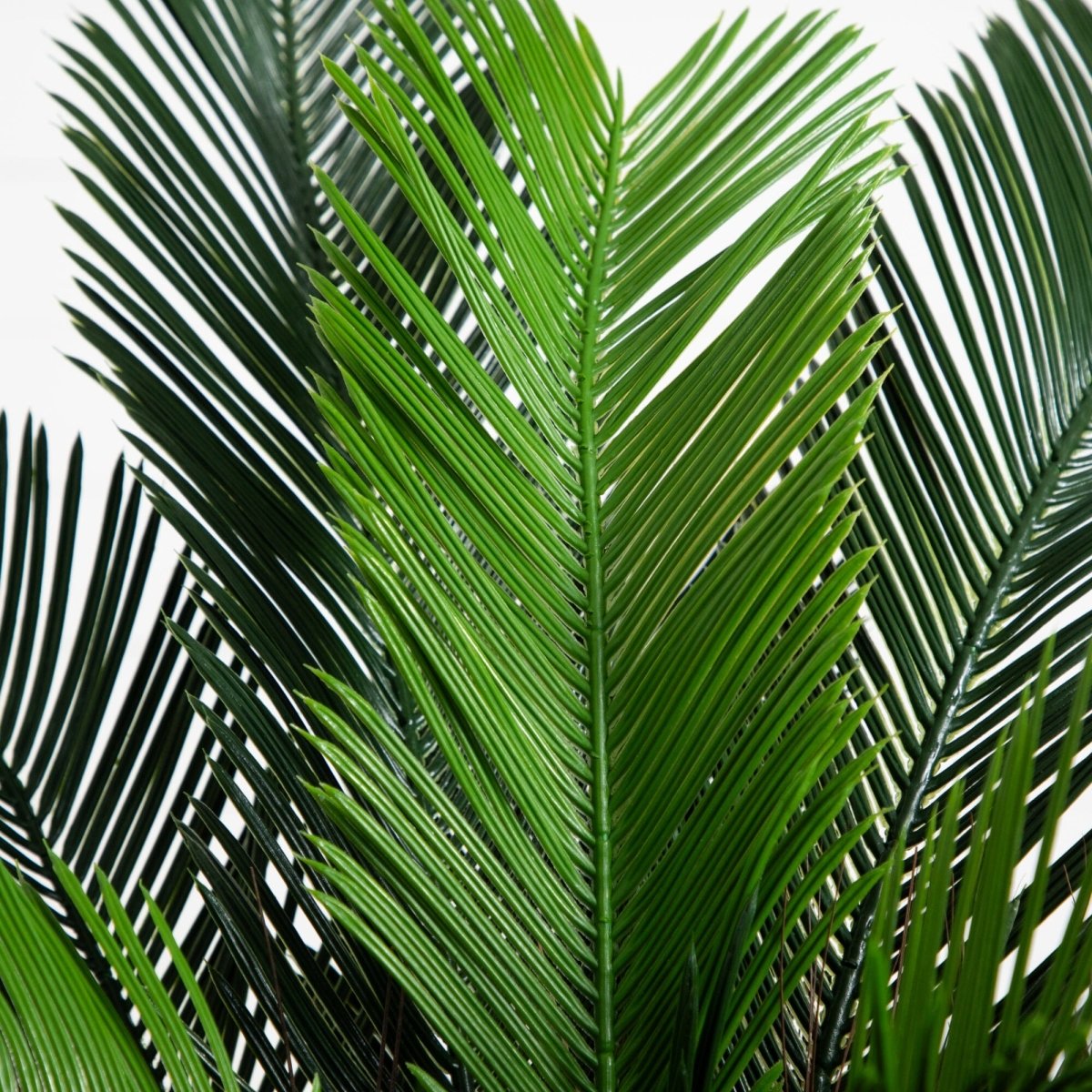  3-ft UV‑Resistant Cycas Palm Tree – Indoor/Outdoor Faux Plant