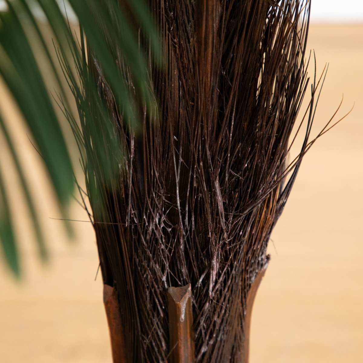  3-ft UV‑Resistant Cycas Palm Tree – Indoor/Outdoor Faux Plant