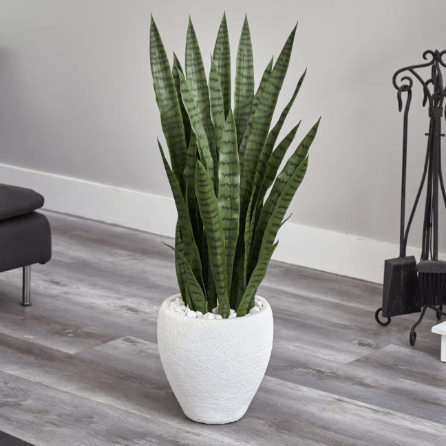  3.5-ft Faux Sansevieria Snake Plant In White Decorative Planter