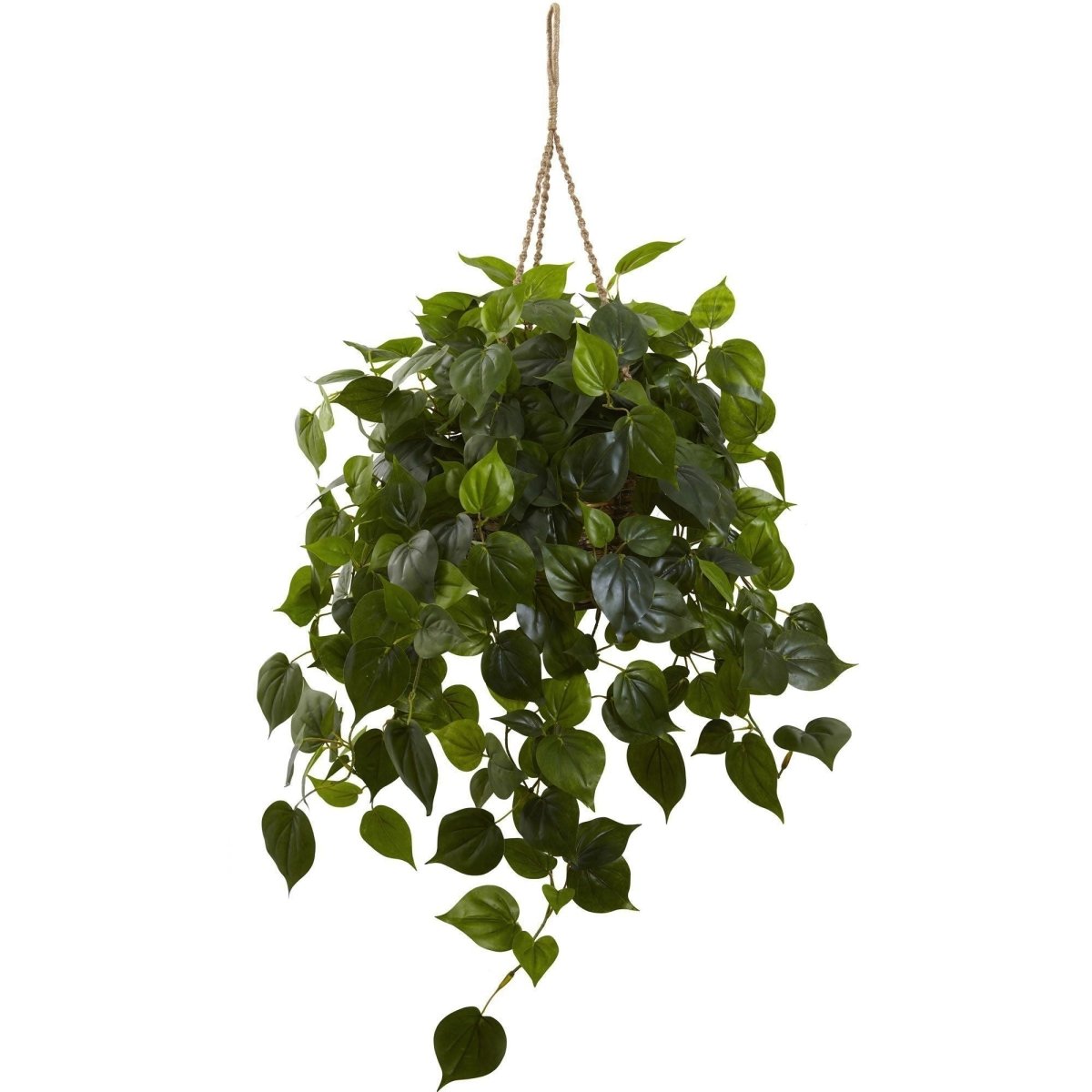  36-in Philodendron Hanging Basket UV Resistant (Indoor/Outdoor)