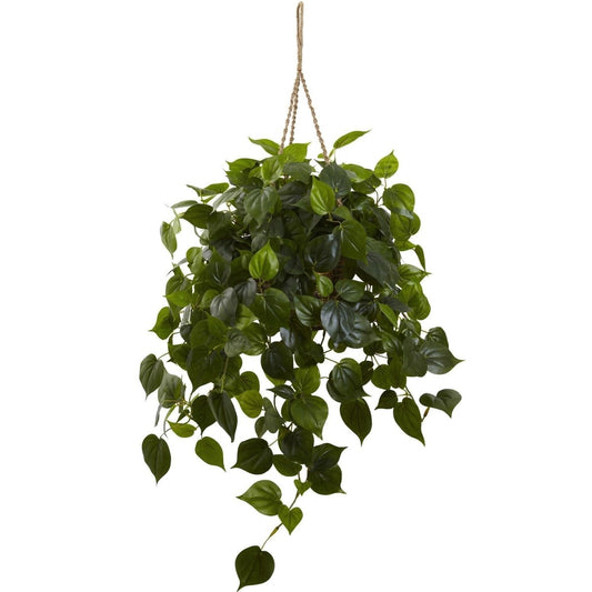  36-in Philodendron Hanging Basket UV Resistant (Indoor/Outdoor)