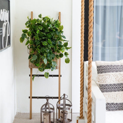  36-in UV Resistant Artificial Pothos Hanging Plant – Set Of 2 | Indoor/Outdoor Faux Greenery