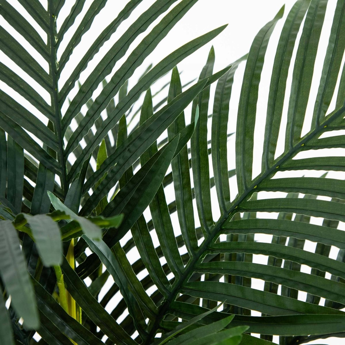  4-ft Golden Cane Palm Artificial Tree