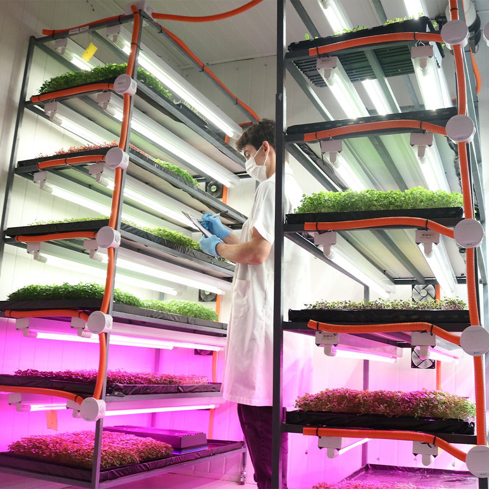  4' LED Grow Lamp – T8 HO Sun White Spectrum