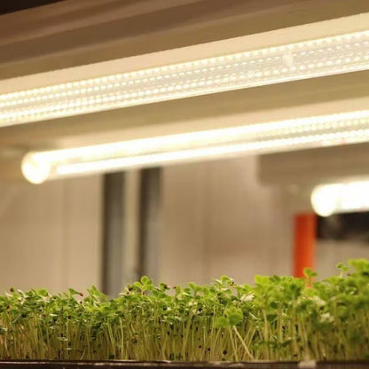  4' LED Grow Lamp – T8 HO Sun White Spectrum