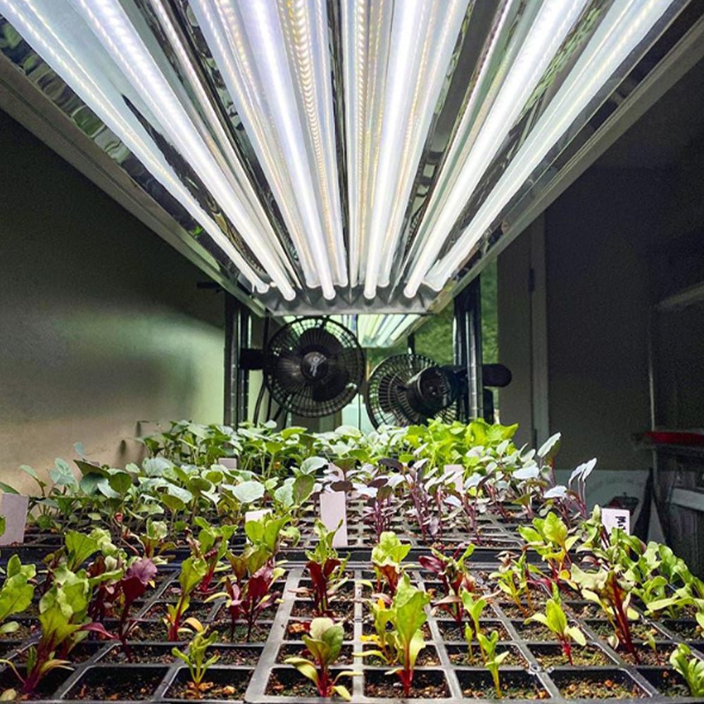  4' LED Plug And Play Grow Lamp – T5 HO Sun White Spectrum