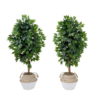  4.5-ft Artificial Ficus Tree With Double Trunk In Cotton & Jute Basket – DIY Kit (Set Of 2)